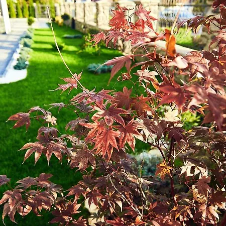 Vendégház Boutique Casa Medievala 4*